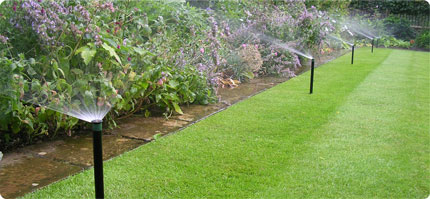 Irrigation And Landscape